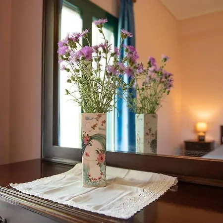 Apartment Pine Tree Family House *