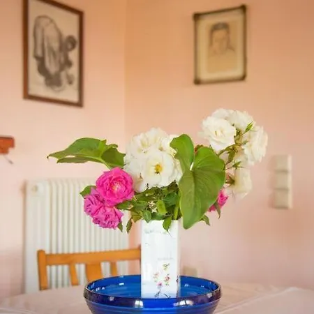 Pine Tree Family House Apartament