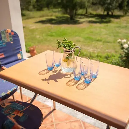Appartamento Pine Tree Family House